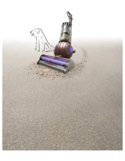 Dyson Ball Animal Origin 470529-01