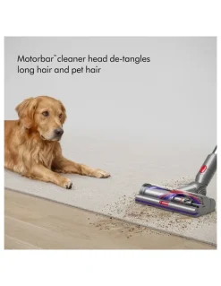 Dyson Dyson V15 Detect Absolute Cordless Vacuum