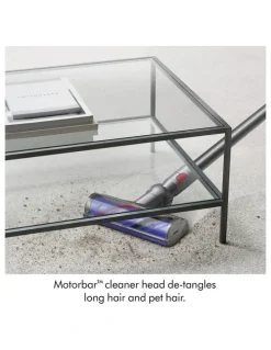 Dyson V9 Submarine Wet And Dry Vacuum