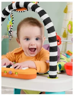 Fisher-Price 2-in-1 Purple Monkey Musical Activity Centre
