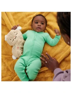 Fisher-Price Soothe And Settle Bunny Plush