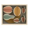 Flexa Fruits Set