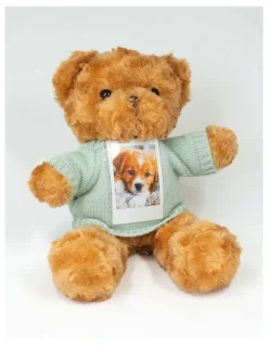 Fujifilm Instax Cheki Bear With Photo in Brown 87572
