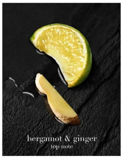 Giorgio Armani Acqua Di Gio Homme Parfum