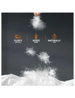 Giselle Bedding 800GSM Goose Down Feather Quilt Super King