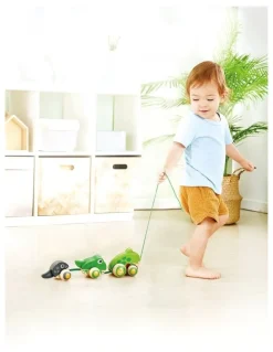 Hape Pull-Along Frog Family Toy