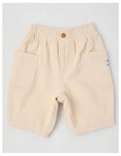 Jack & Milly Cam Cord Pant in Tan