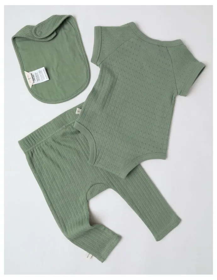 Jack & Milly Newborn Baby Embroidered Pointelle Gift Set in Sage