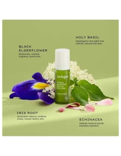 Jurlique Herbal Recovery Eye Oil Roll-On 10ml