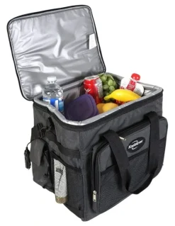 Koolatron Electric Cool Bag 12V 25L