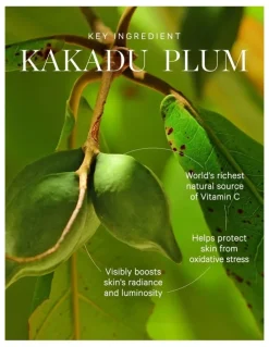 Kora Organics Kakadu Plum Vitamin C Eye Cream 15ml - Jar