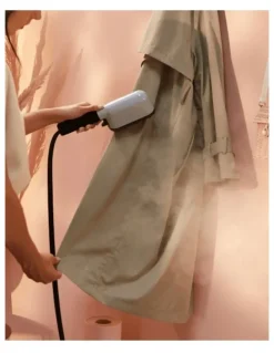 Laurastar Izzi PLUS Steamer