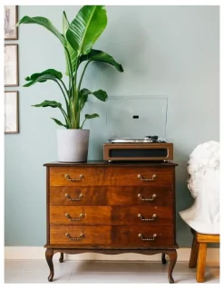 Lenco Turntable with 4 Built-in Speakers in Brown
