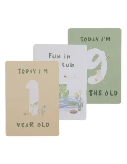 Living Textiles Milestone cards Goosey in Multi