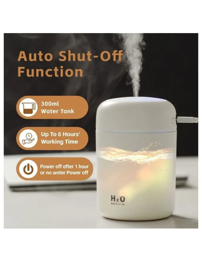 Living Today Mini LED Ultrasonic Humidifier 300ml in White