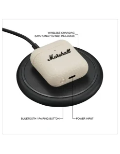 Marshall Minor IV Ear Buds 255007 in Cream