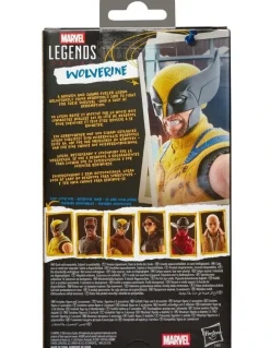 Marvel Legends Series Wolverine