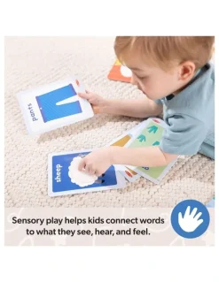 Ms. Rachel Melissa & Doug Flash Cards
