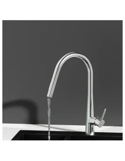 My Plaza Kitchen Mixer Tap Pull Out Round 2 Mode Sink Basin in Silver