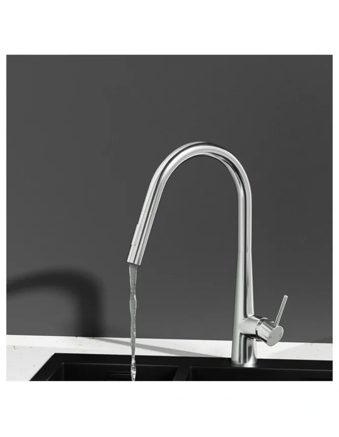 My Plaza Kitchen Mixer Tap Pull Out Round 2 Mode Sink Basin in Silver
