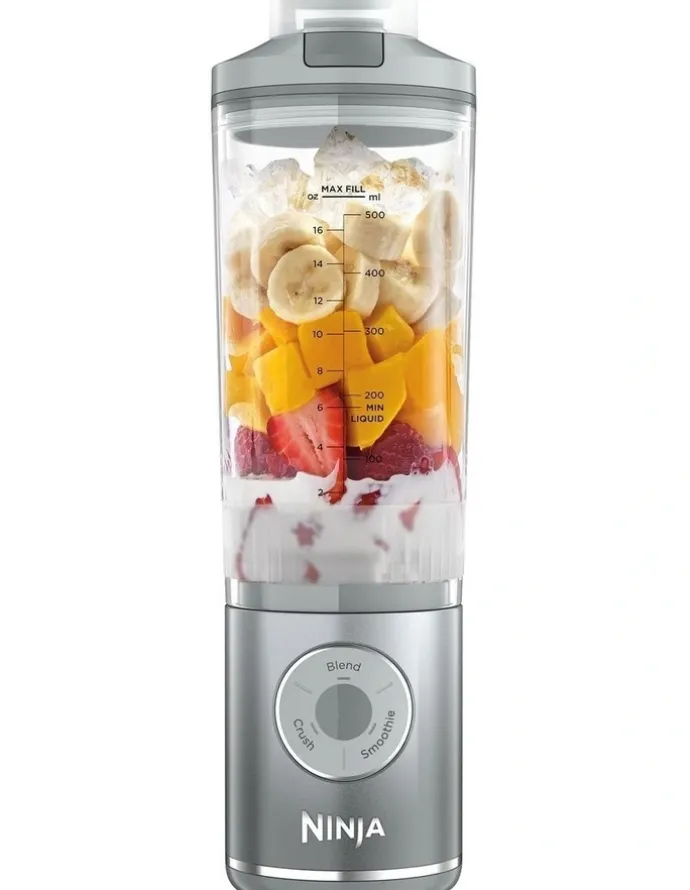 Ninja Cordless Portable Blender in Silver BC251SLANZ