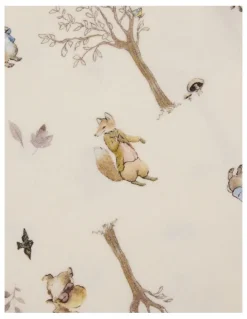 Peter Rabbit Bodysuit 2 Pack in Multi