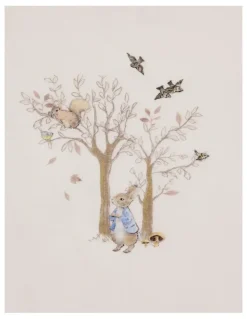 Peter Rabbit Bodysuit 2 Pack in Multi