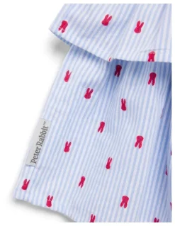 Peter Rabbit Peter Rabbit Stripe Tiered Dress