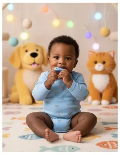 Playgro Soothe And Chew Silicone Teethers Set