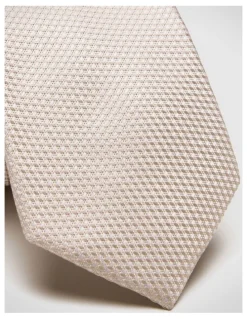 Politix Silk Textured Two-tone Tie in Neutral