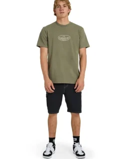 Quiksilver Alpine T-Shirt In Dusty Olive