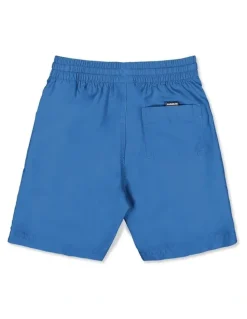 Quiksilver Boys 2-7 Everyday Vert 13 Volley Shorts In Palace Blue