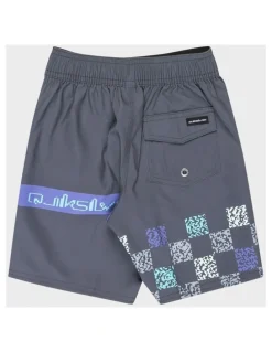 Quiksilver Everyday 13 Boardshorts in Black