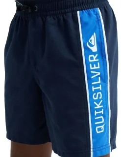 Quiksilver Everyday Cliker 15 Inch Swim Shorts in Navy