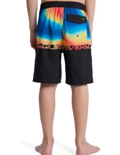 Quiksilver Everyday Half Boardshorts 17 Inch in Multi