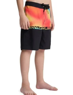 Quiksilver Everyday Half Boardshorts 17 Inch in Multi