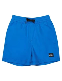 Quiksilver Everyday Swim Shorts 12 Inch in Blue