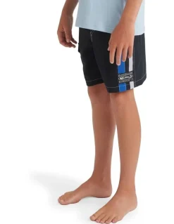 Quiksilver Interconnect Volley 17 Inch Swim Shorts