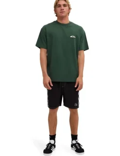 Quiksilver Quik Core Oversized T-Shirt In Forest