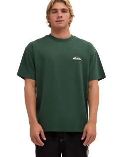 Quiksilver Quik Core Oversized T-Shirt In Forest