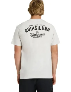 Quiksilver Skipper T-Shirt In Light Grey Heather