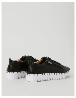 Regatta Kimberly Sneaker In Black
