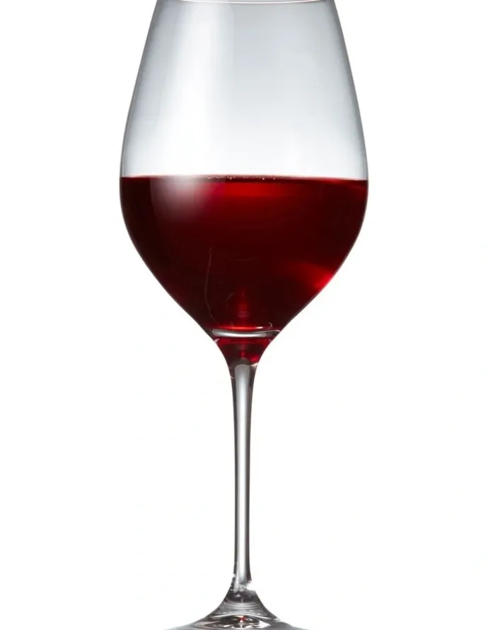 Salt&Pepper Cuvee Red Wine Glasses Set Of 6 in Clear
