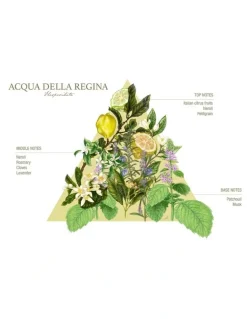 Santa Maria Novella Acqua della Regina 100ml EDC