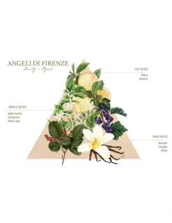 Santa Maria Novella Angeli di Firenze 100ml EDC