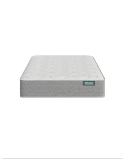 Sealy Sealy Singles Collection Comfort Night Medium Mattress
