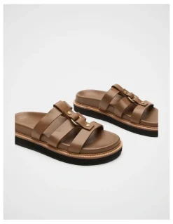 Seed Heritage Hayden Mule