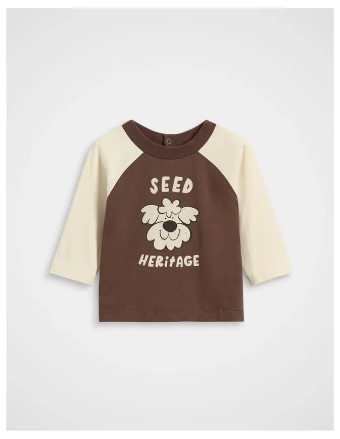 Seed Heritage Pup Raglan Tee in Cacao