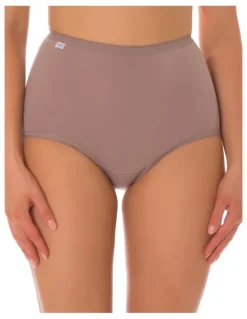 Sloggi Maxi Brief 2 Pack in Multi