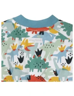 Snugtime Printed Long Sleeve Padded Cosi Bag in Dino